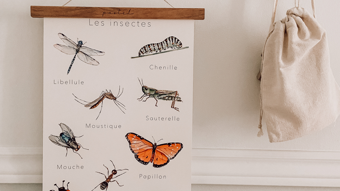 Suggestions littérature jeunesse: les insectes