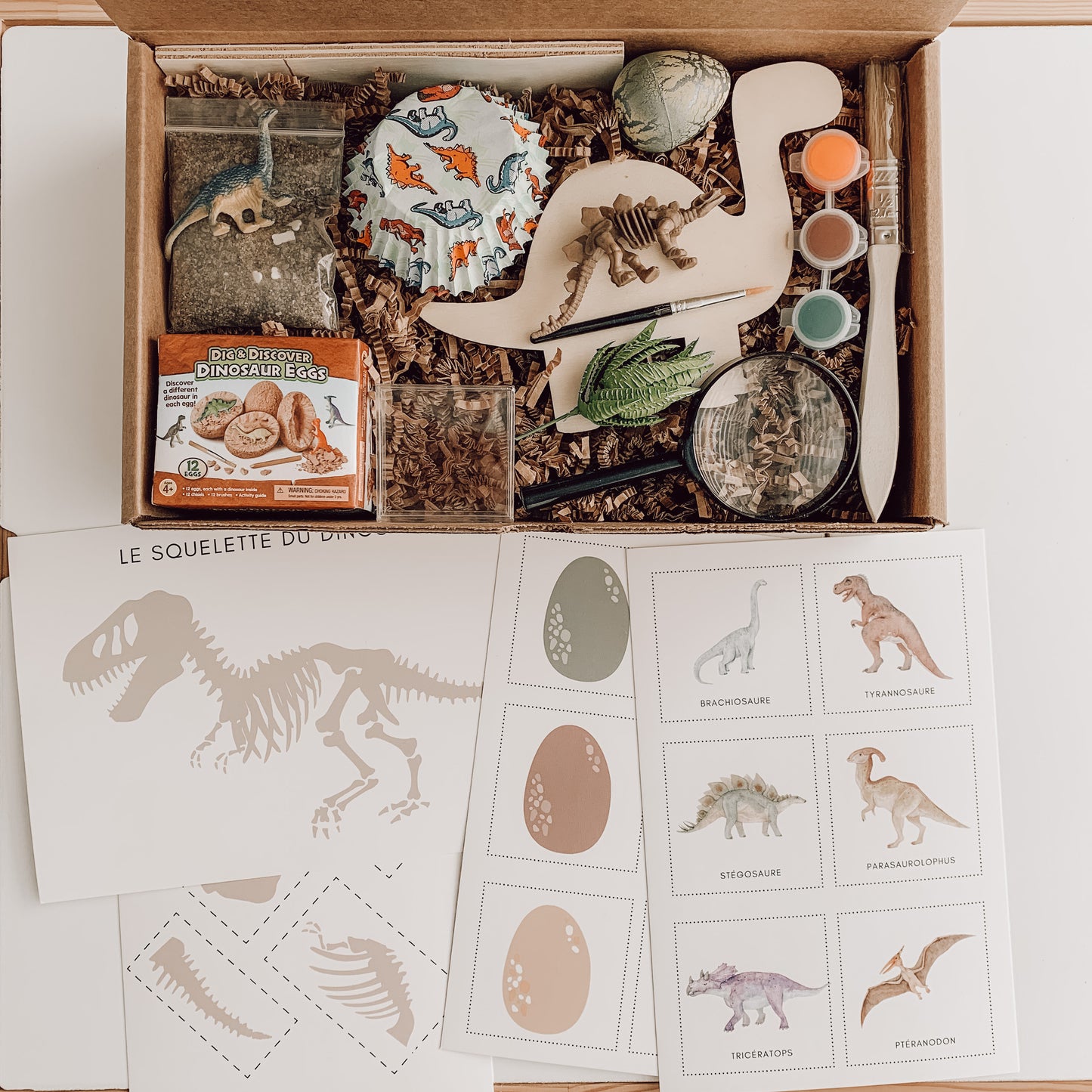 Dinosaur - Activity Box (2-6 years old)