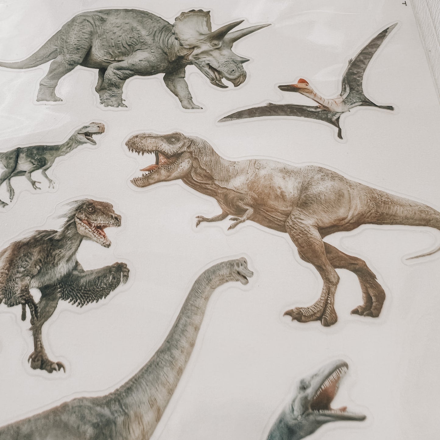 Autocollants dinosaures réalistes